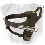 Search&Rescue Nylon Harness for English Bulldog