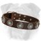 High-Quality Leather English Bulldog Collar with Blue Stones