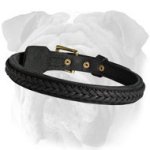 English Bulldog Braided 2 Ply Leather Collar