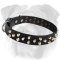 Adjustable English Bulldog Studded Leather Collar