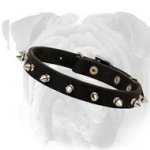 Great Leather Collar With Nickel Plated Spikes