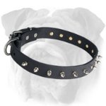 Fantastic English Bulldog Collar for Walking - Spiked Leather Accessory