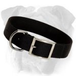 Durable Nylon Dog Collar for English Bulldog