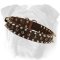 Elegant Spiked and Studded Leather English Bulldog Collar for Walking