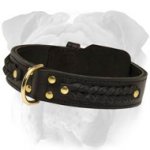 Durable 2 Ply Leather English Bulldog Collar with Brades