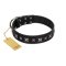 "Polar Lights" Designer FDT Artisan Black Leather English Bulldog Collar with Silver-Like Studs