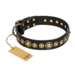 "Gold Mine" FDT Artisan Black Leather English Bulldog Collar with Amazing Bronze-Plated Round Studs