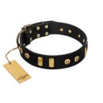 "Rare Dog" FDT Artisan Black Leather English Bulldog Collar with Old Bronze-like Dotted Studs and Tiles