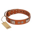 "Pawsy Glossy" FDT Artisan Exclusive Tan Leather English Bulldog Collar 1 1/2 inch (40 mm) wide