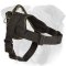Nylon English Bulldog Harness for Pulling, Tracking, Hiking, Training