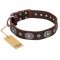 "Extra Pizzazz" FDT Artisan Adorned Brown Leather English Bulldog Collar