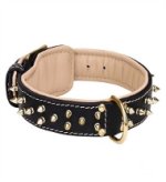 Adjustable English Bulldog Breed Spiked Leather Collar