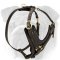 Padded Leather Dog Harness for English Bulldog