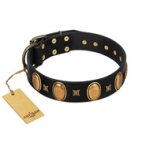 "Doggie Woggie" Designer Handmade FDT Artisan Black Leather English Bulldog Collar with Ovals and Studs