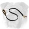All Weather Nylon Leash for English Bulldog