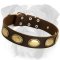 Gorgeous Vintage Leather Collar for English Bulldog