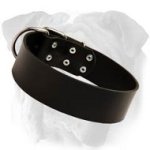 Reliable English Bulldog Wide Leather Collar