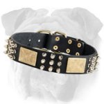 Bulldogs Dog Leather Dog Collar with Brass Adornment