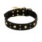 FDT Artisan 'Heavy Metal' Leather English Bulldog Collar with Skulls and Studs 1 1/2 inch (40 mm)