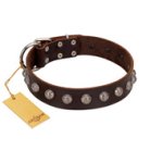 "Lucky Silver" Designer Handmade FDT Artisan Brown Leather English Bulldog Collar