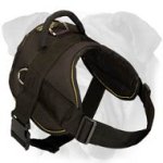 Practical Nylon English Bulldog Harness for Any Weather
