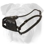 Genuine Leather Dog Muzzle for English Bulldog