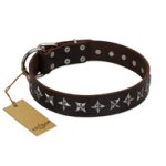 "Stars of Glory" FDT Artisan Brown Leather English Bulldog Collar for Comfortable Walking