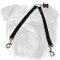 Nylon Coupler Leash for 2 English Bulldogs