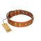 "Sand of Time" FDT Artisan Tan Leather English Bulldog Collar with Old Bronze-like Studs and Plates