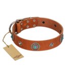 "Marine Antiques" Handmade FDT Artisan Tan Leather English Bulldog Collar with Blue Stones