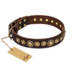 "Ancient Warrior" FDT Artisan Fancy Leather English Bulldog Collar with Old-Bronze Plated Decorations