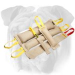 English Bulldog Set of Jute Bite Tugs