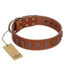 "Silver Century" Fashionable FDT Artisan Tan Leather English Bulldog Collar with Silver-Like Plates