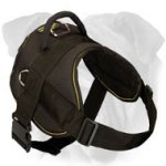Lightweight Walking and Pulling Nylon Harness for English Bulldog