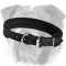 Reliable English Bulldog Padded Leather Collar | Dog Training Supply