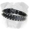 Double Row Spiked Leather Collar for English Bulldog