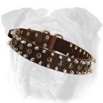 Adorned Leather English Bulldog Collar with Spikes and Studs