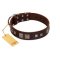 "Object of Virtu" FDT Artisan Brown Leather English Bulldog Collar with Old Silver-like Square Studs and Pyramids