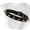 Great Leather Collar With Nickel Plated Spikes