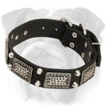Leather English Bulldog Collar with Vintage Plates and Cones