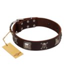 "Nut-Brown Finery" Embellished FDT Artisan Brown Leather English Bulldog Collar with Chrome Plated Crossbones and Plates