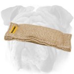 Lightweight Pocket English Bulldog Bite Tug for Puppies