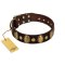 "Retro Pusle" FDT Artisan Brown Leather English Bulldog Collar with Old Bronze-like Studs and Oval Brooches