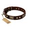 "Magic Amulet" Brown Leather English Bulldog Collar with Skulls and Plates