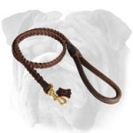 4 FT Braided Leather Dog Leash for English Bulldog
