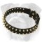 Fashionable Spiked Leather Dog Collar for English Bulldog