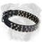 Glamurous Leather Spiked English Bulldog Collar for Walking
