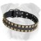 High Quality Studded Leather Dog Collar for English Bulldog