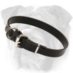 1 In Leather Collar With Classic Design