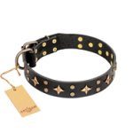 'A La Mode' FDT Artisan Handcrafted Black Leather English Bulldog Collar